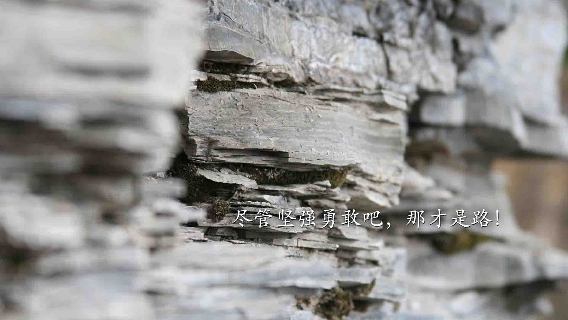 《知名战队揭秘:他们的成功之路》,知名战队名字