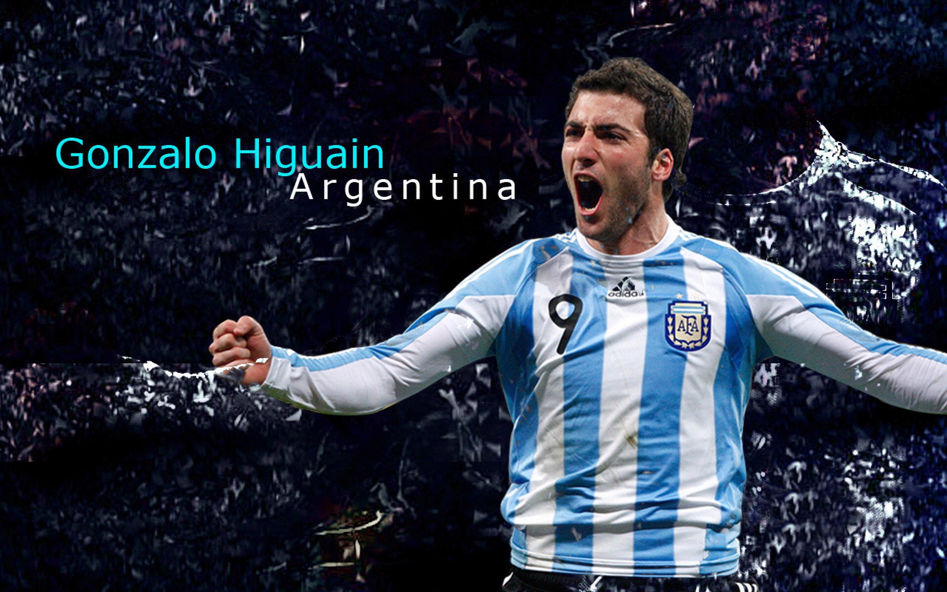 塔特的场上冷静与决断力,让袋鼠队充满信心